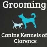 Grooming at Canine Kennels of Clarence