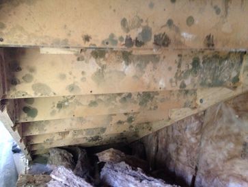 Before Mold Treatment