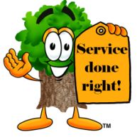Labats Tree Care