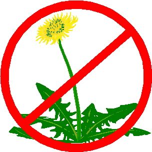 NO WEEDS!