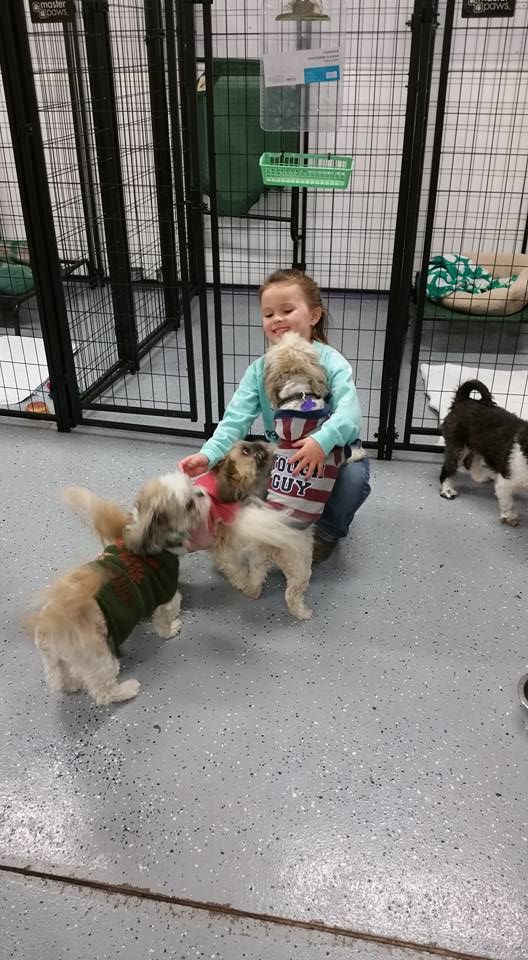 Play time at Lil Dog Ranch