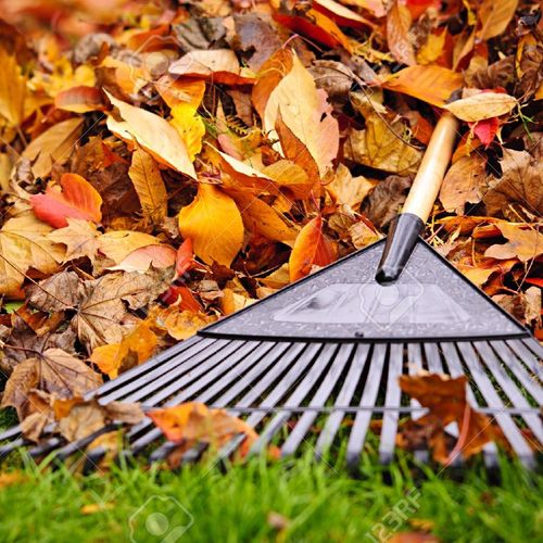 spring and fall cleanup