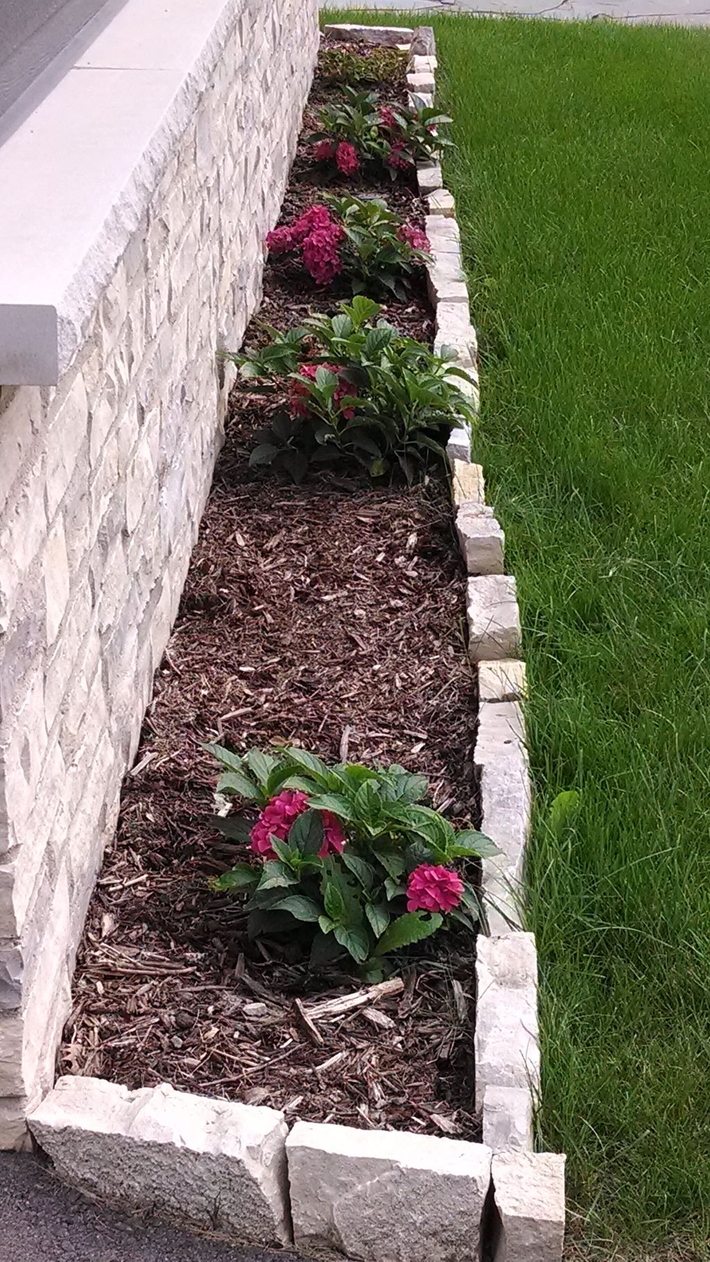 Stone edging and flowers!