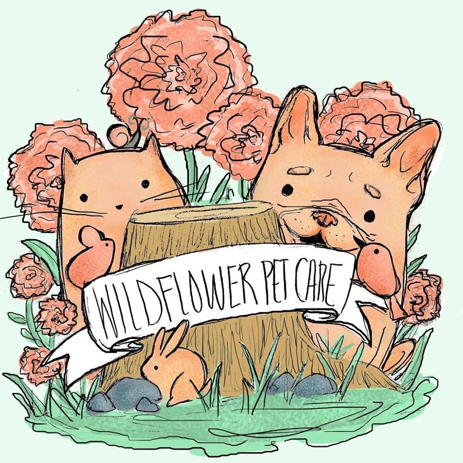 Wildflower Pet Care