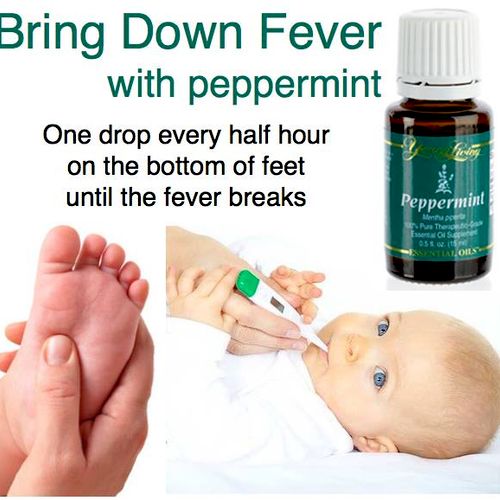 Got Fever? Use Peppermint!
