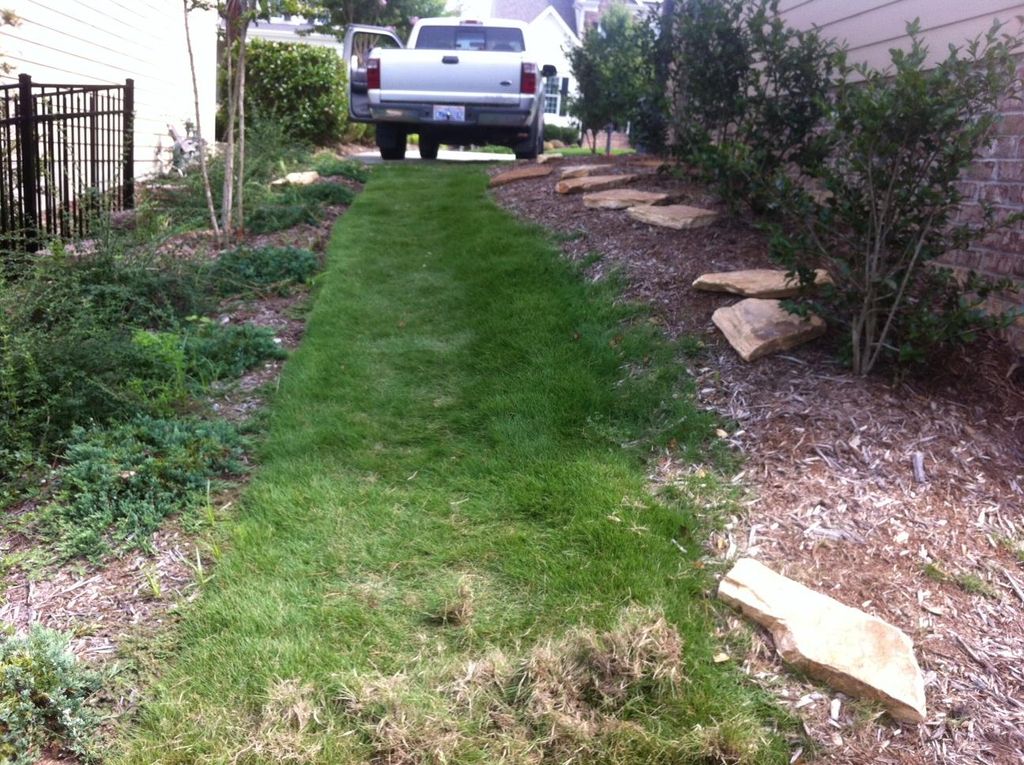 Stepping stone path: Before