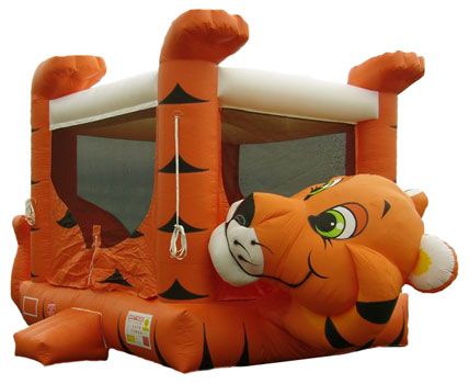 Tiger Belly Bouncer 
17 x 17 $275