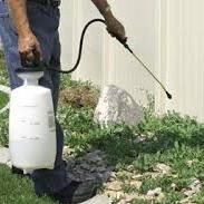 Care & Quality Spraying Service Inc.