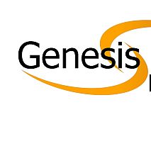 Genesis Network Group LLC