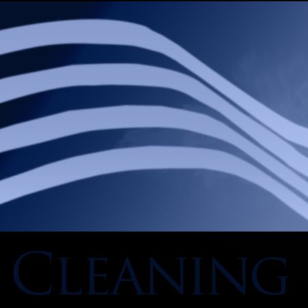 The Cleaning Ladies, LLC.