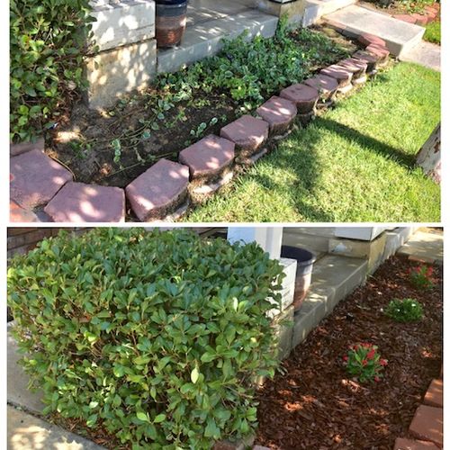 Before & After (planted new flowers)