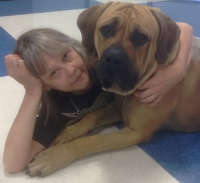 Integration in new family - Between homes - big bo
