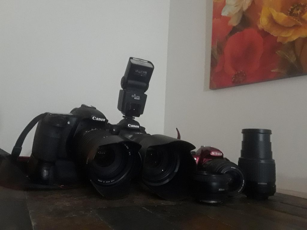 Projects and media