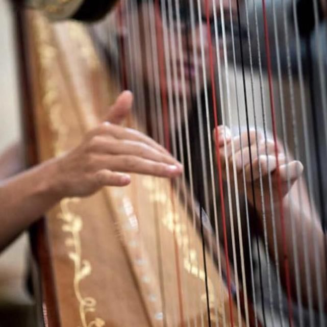 Eleonora Pellegrini - Harpist