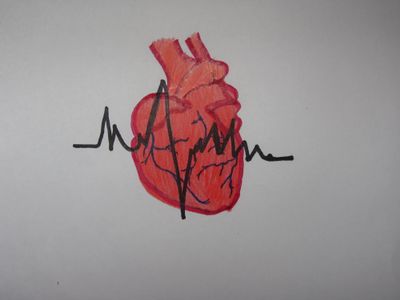 Avatar for Professional HeartStarters