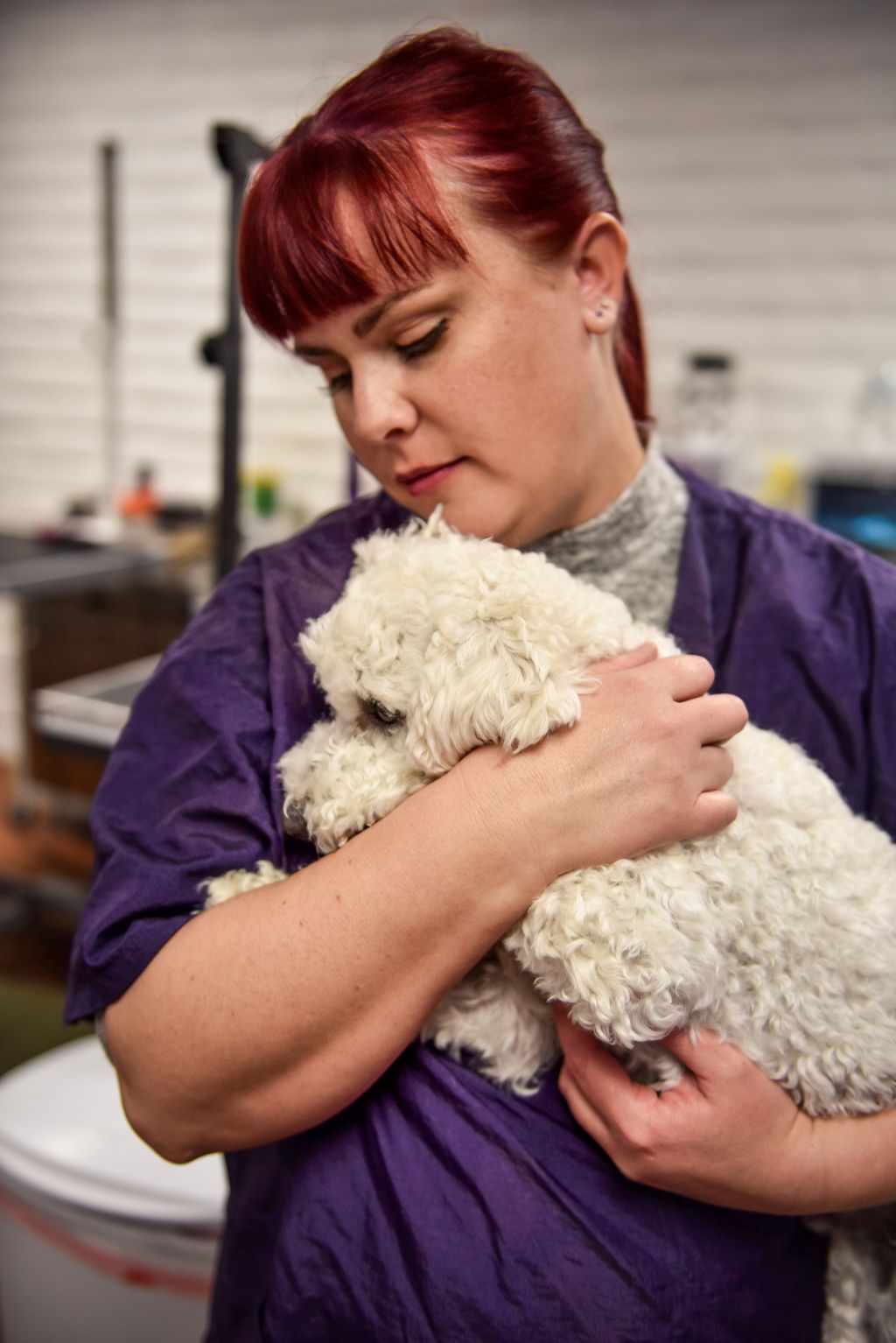 Our groomers are among the best in the state and a