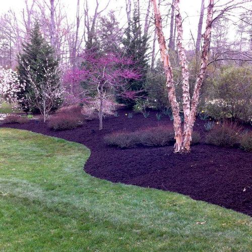 Mulch and bed maintenance packages.