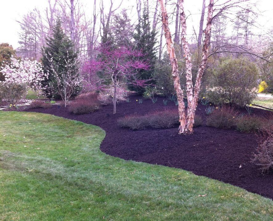 Mulch and bed maintenance packages.