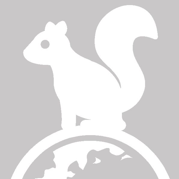 Pearly Squirrel Web Development