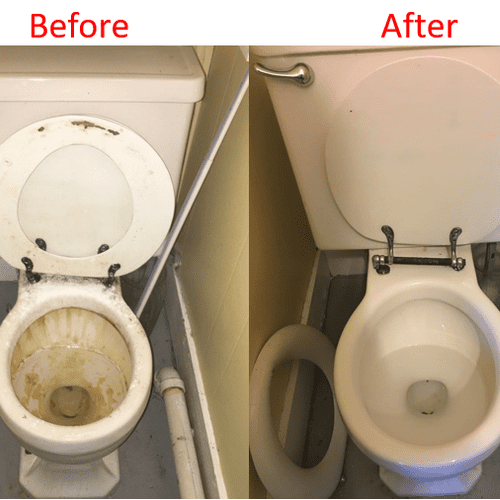 Book now to make your toilet shine!
