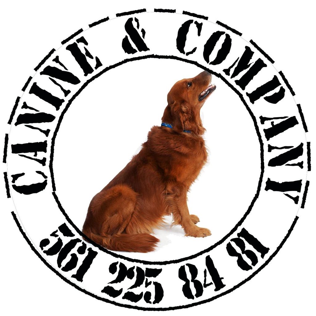 Canine & Company
