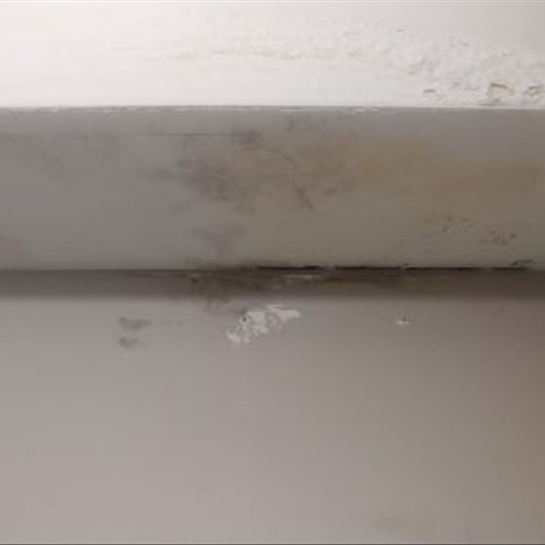 Mold growth in ceiling and wall from roof leak.