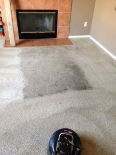 Customer never saw her carpet this clean before