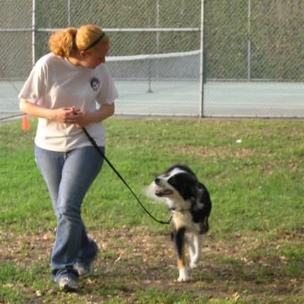 Stacy's Dog Training