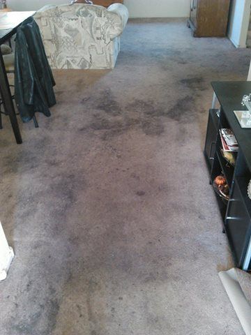 before deep cleaning