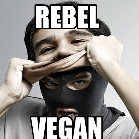 Socratic Rebel Vegan