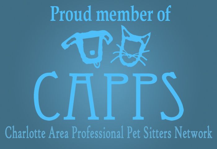 Vice President and Proud Member of Charlotte Area 