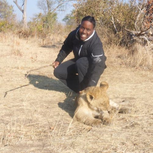 Lion Walk- Livingston, Zambia
