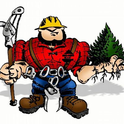 Avatar for Taylor's Total Tree Service & Stump Removal