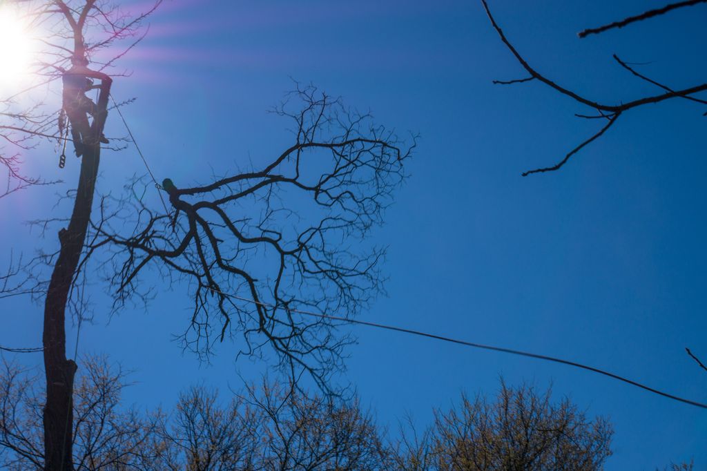 A little zip line action over a fence and garage t