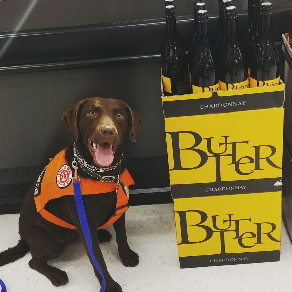 Service Dog training