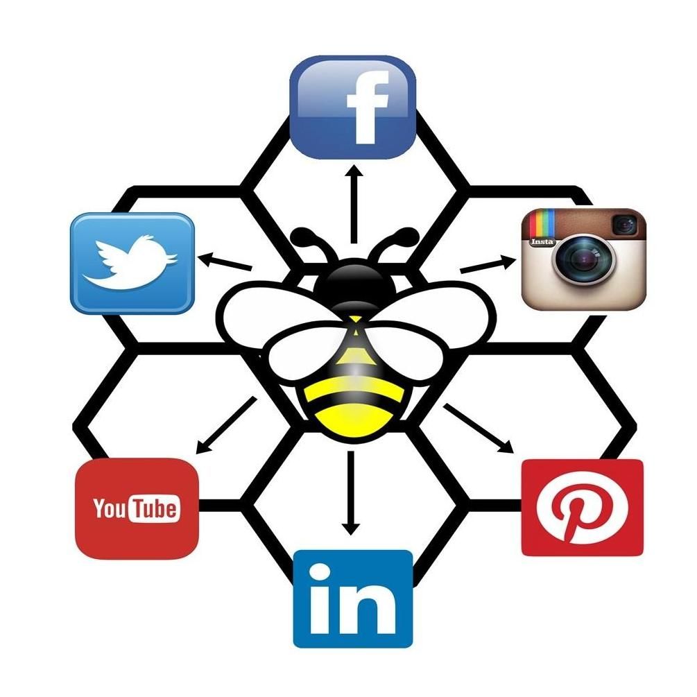 Bee Social