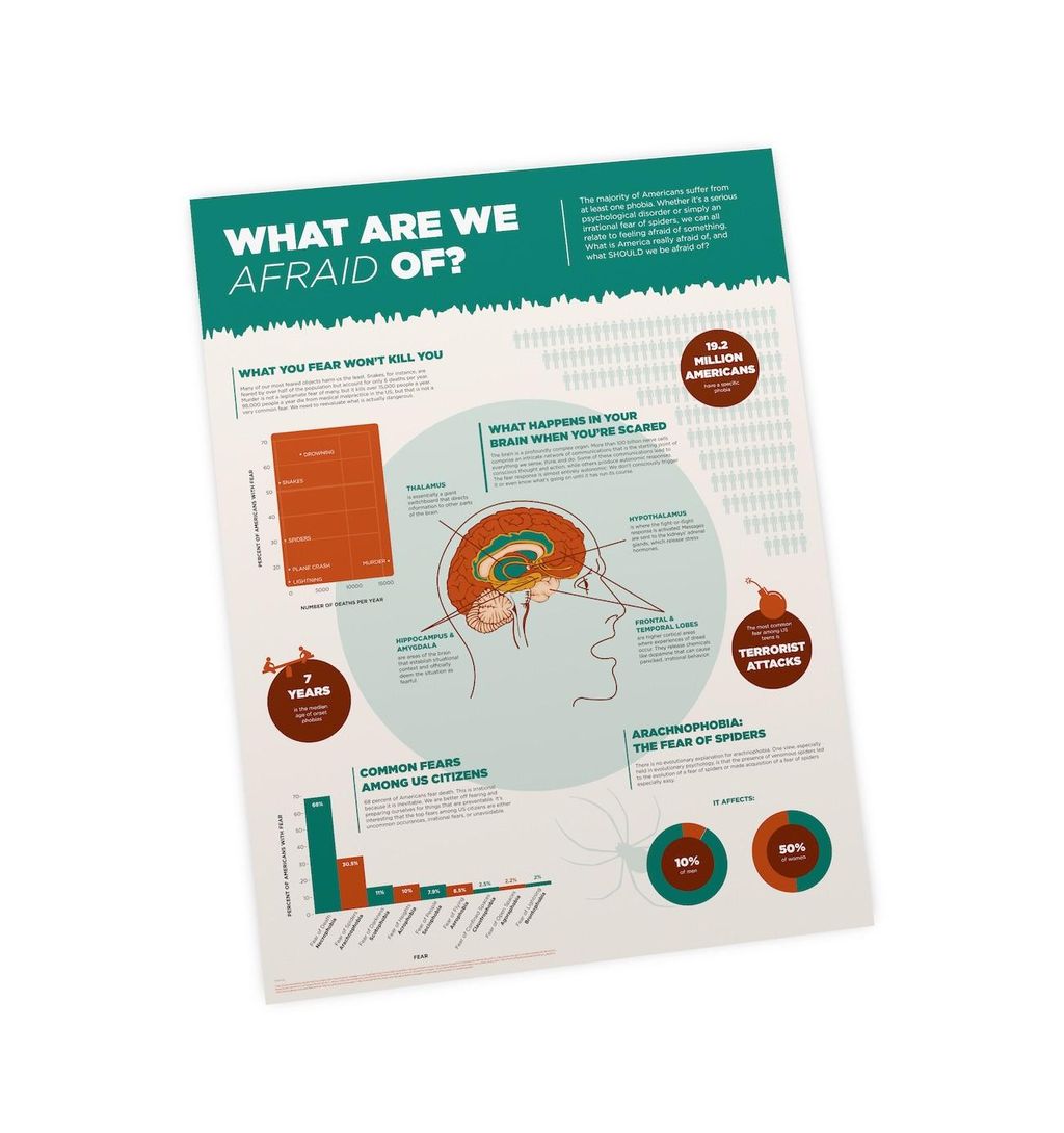 This is an infographic I designed to inform the pu
