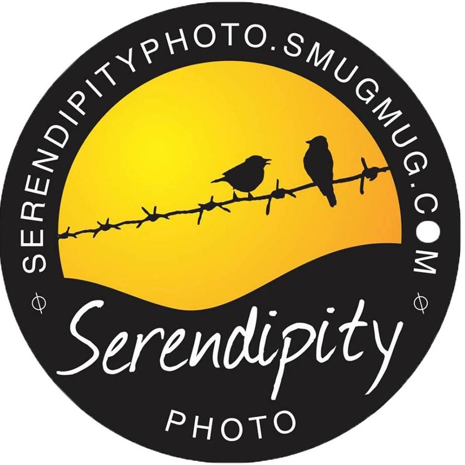 Serendipity Photo