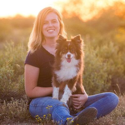 Avatar for The Art of Dogs