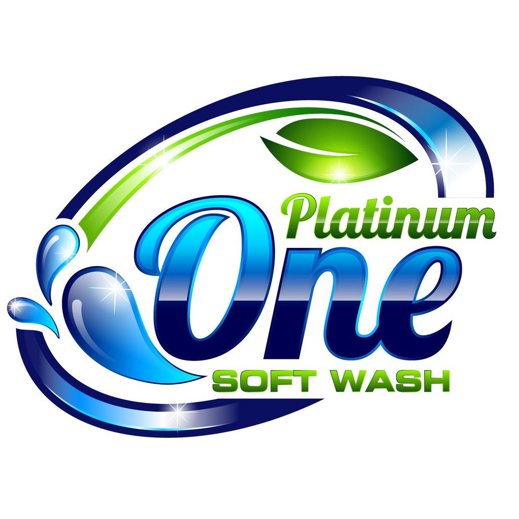 Platinum One Soft Wash