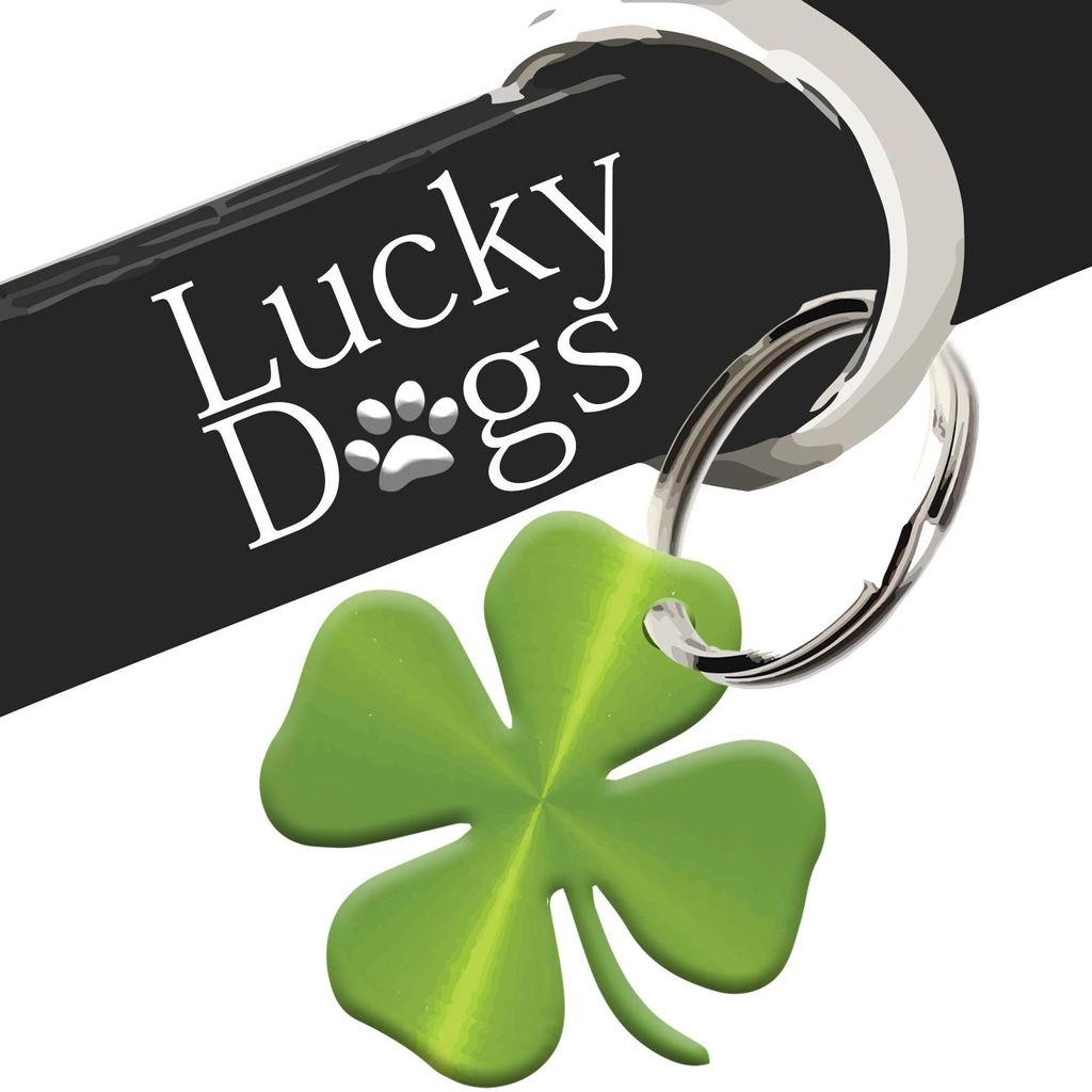 Lucky Dogs LLC