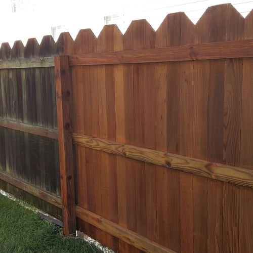 Cedar fence with 16 years of mildew and algae bein