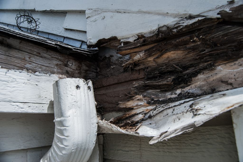 Fascia damage can lead to extensive interior issue