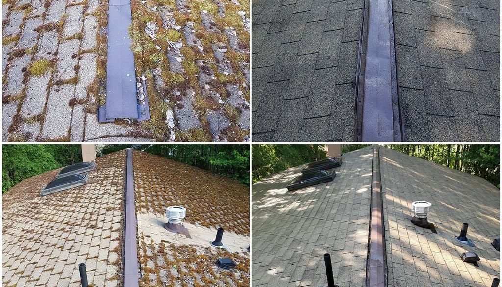 Moss Removal
