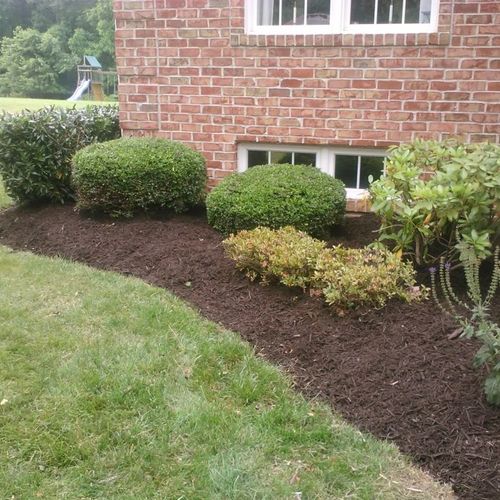 Mulching and trimming