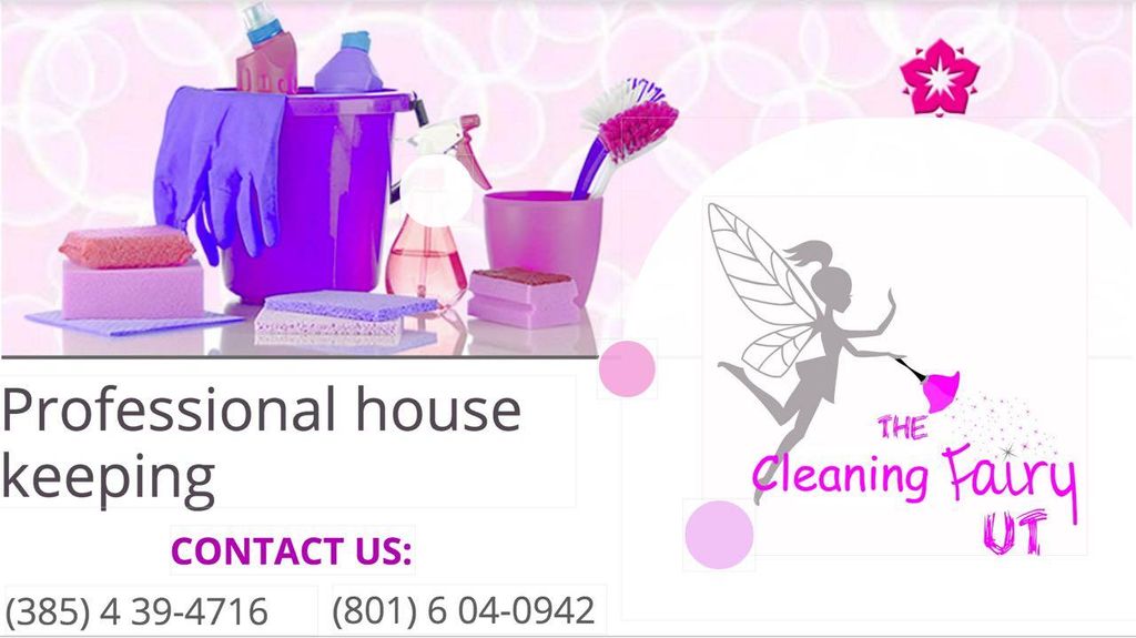 cleaning Fairy