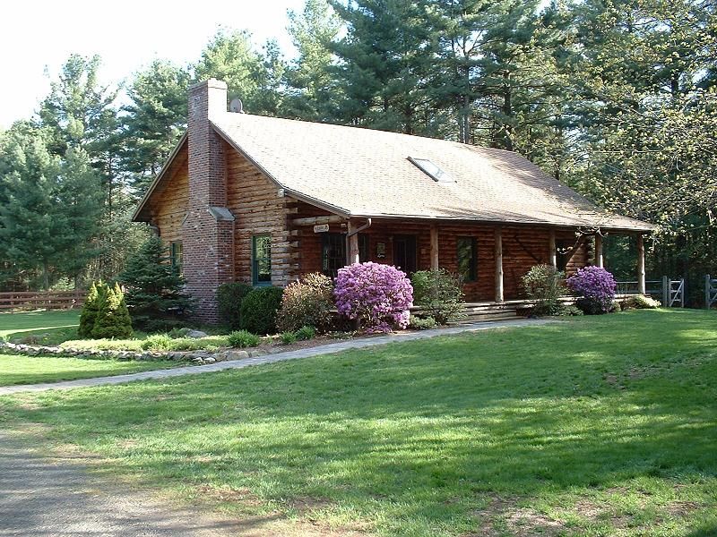 a beautiful log cabin out in the woods, clear stai