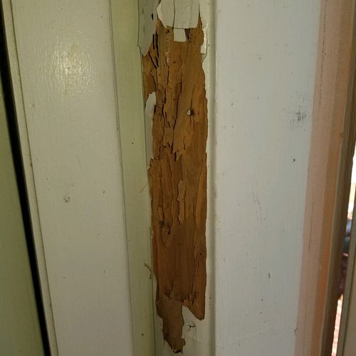 Drywood Termite Door Frame Damage