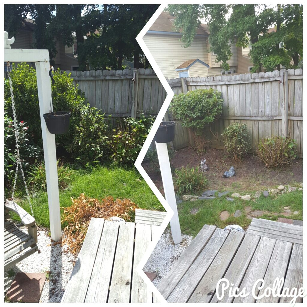 before and after side by side