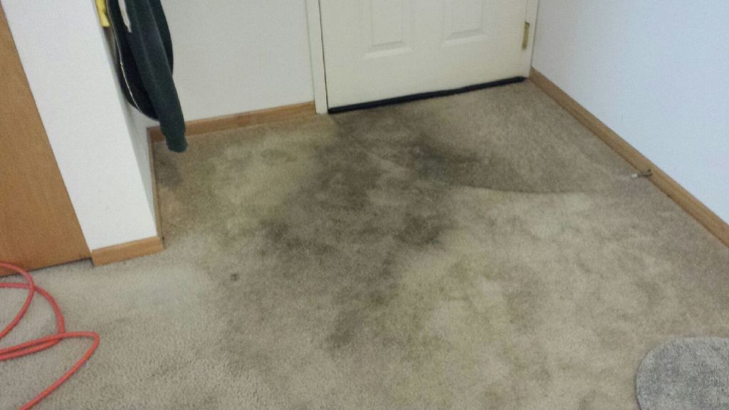 Apartment entryway, before